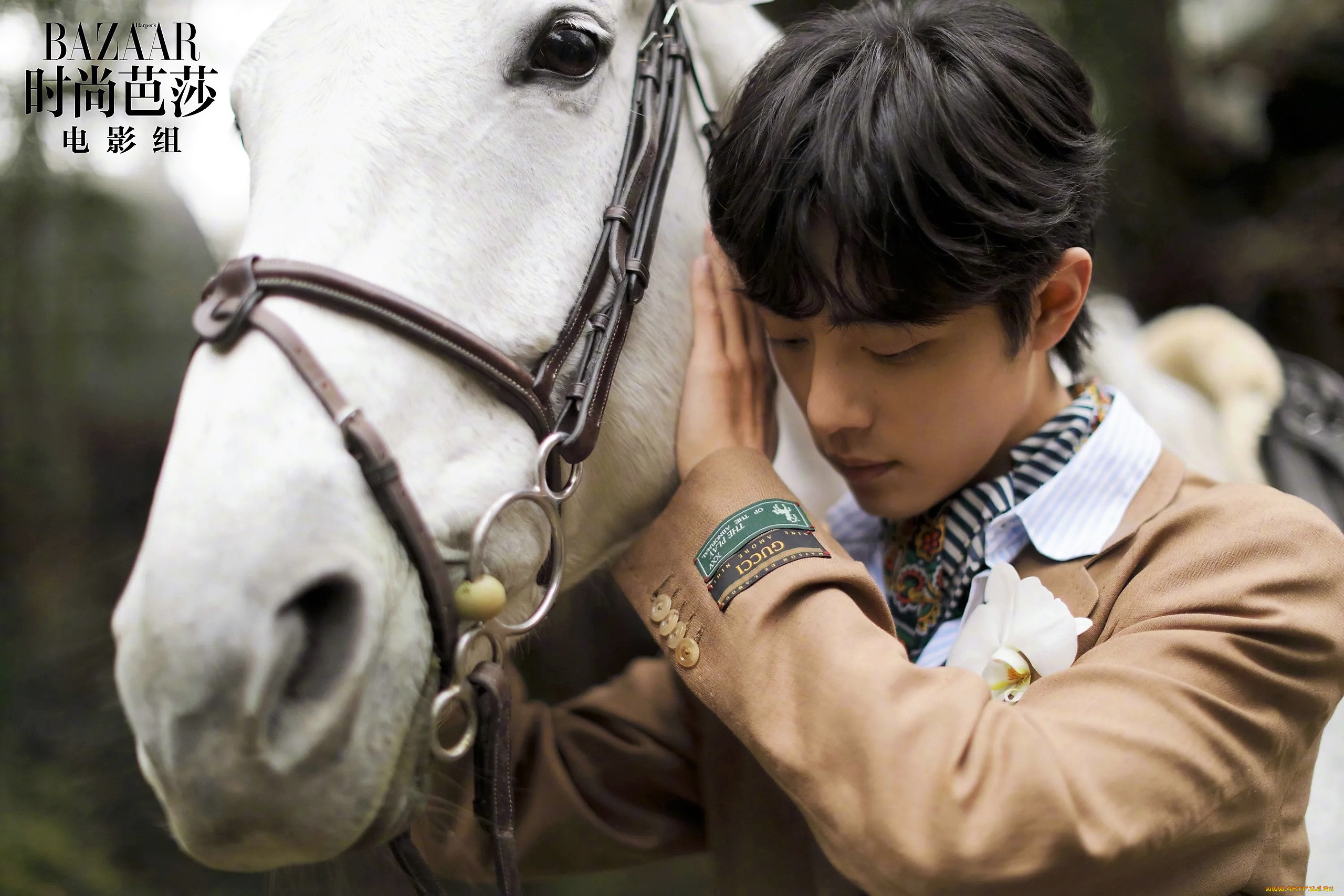 , xiao zhan, , 
